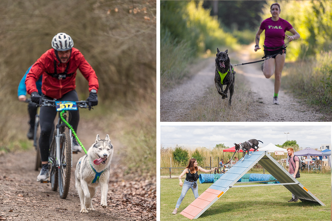 photos d'évènements sportif canin, Cani vit, Cani cross, agility